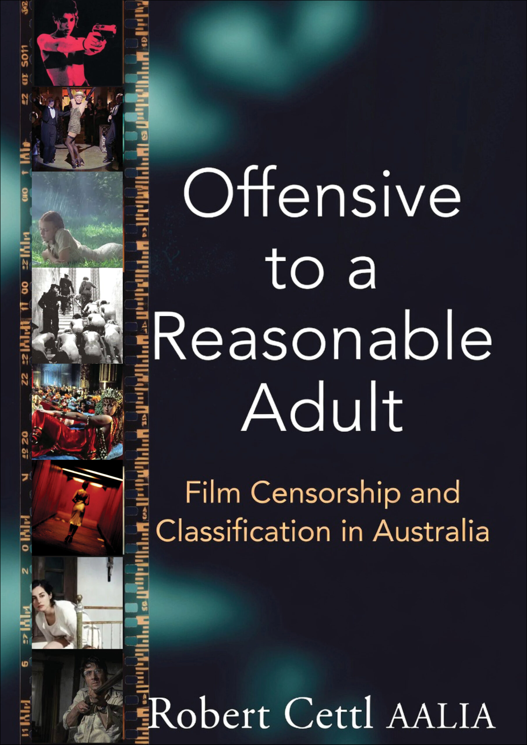 Offensive to a Reasonable Adult